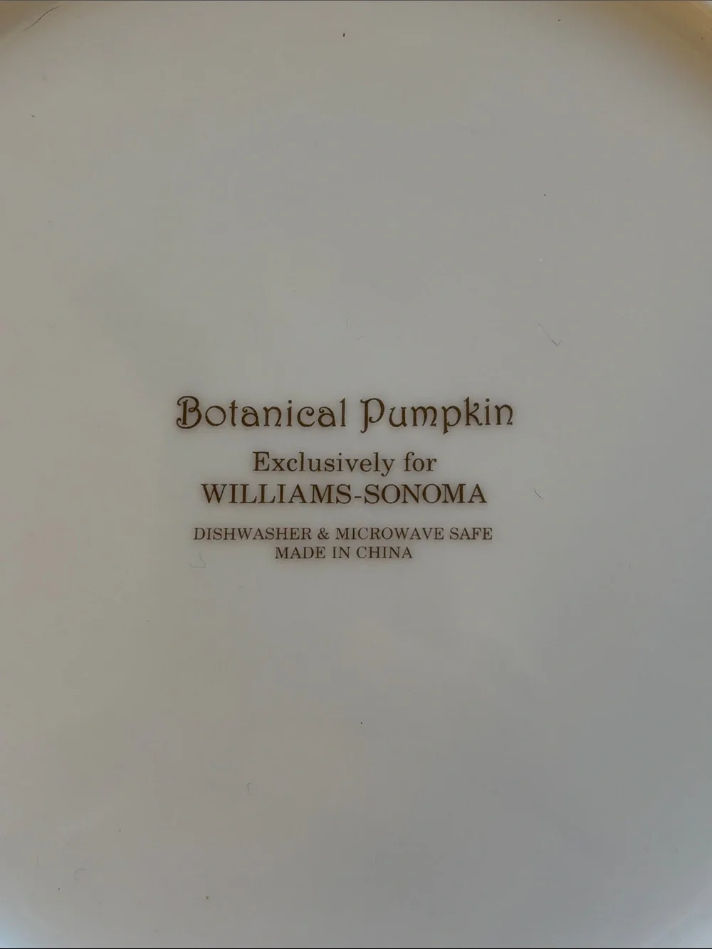Williams Sonoma Botanical Pumpkin Salad Dessert Plates Set of 4 Thanksgiving